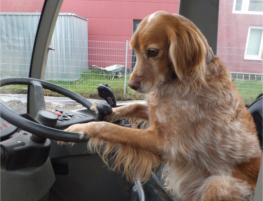 james, der logistikhund